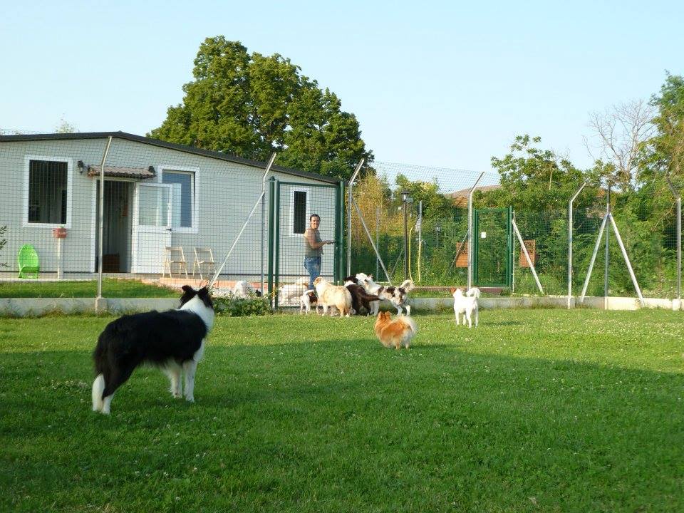 Wildwest kennel /Dog's ranch pensione per cani