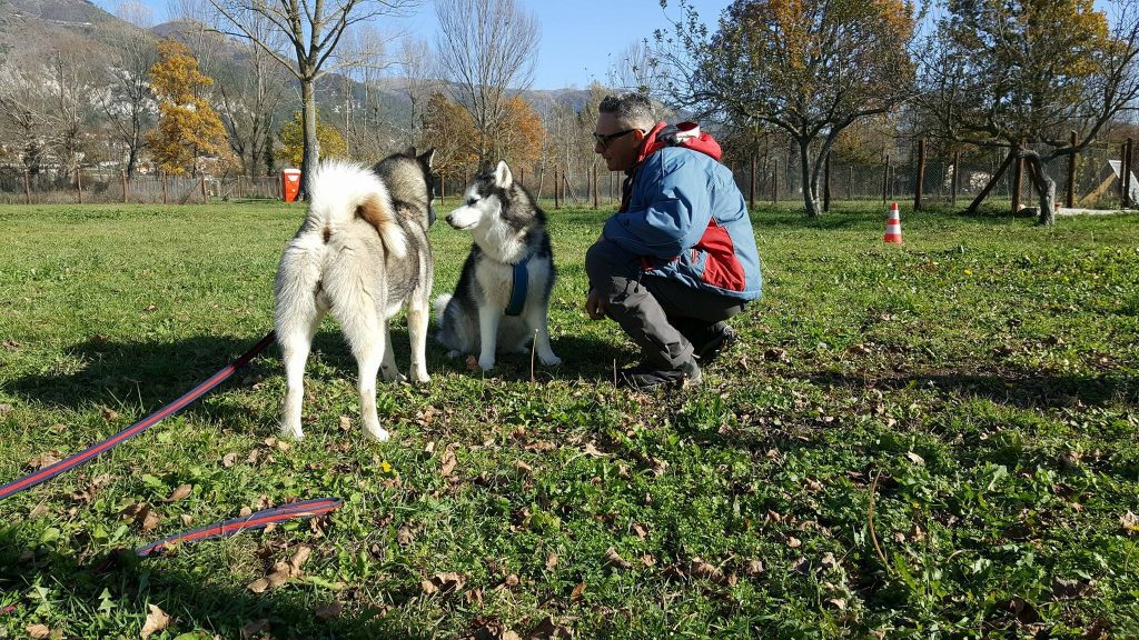 Addestramento cani - Roma Nord