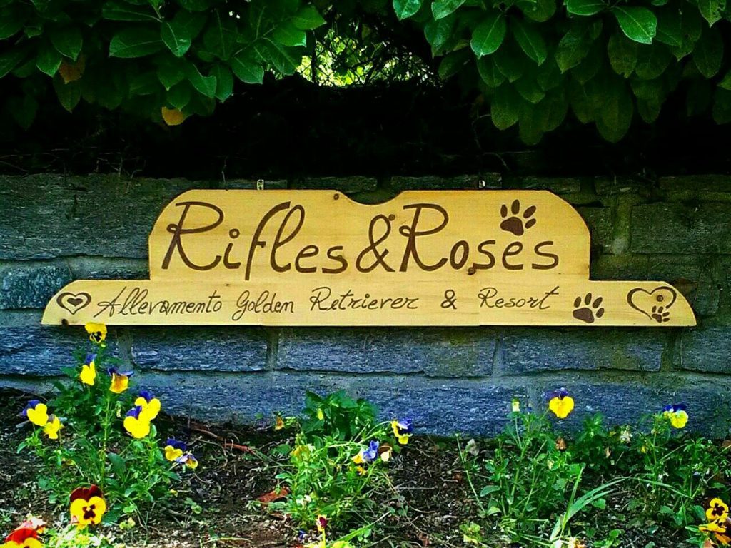 Rifles & Roses