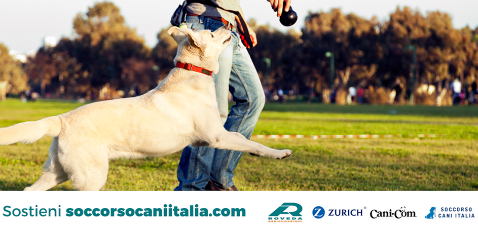 Con Soccorso Cani Italia un aiuto ai cani meno fortunati