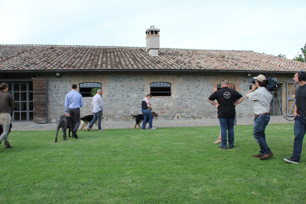 DOG CITY SCUOLA ADDESTRAMENTO CANI DI LORENZO GNERUCCI