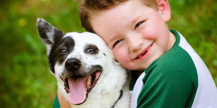 Lo studio: “Miglior sviluppo socio-emotivo per i bimbi in famiglie con cani”