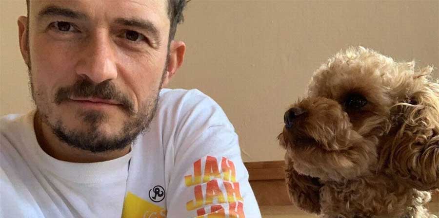 Il dolore di Orlando Bloom: sul cuore si tatua il nome del cane morto