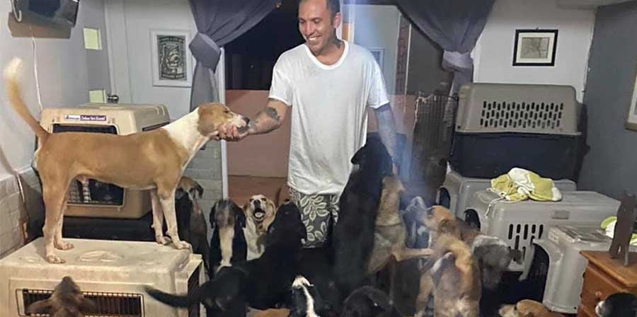 Apre la porta di casa e salva 300 cani randagi dall'uragano