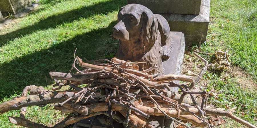 Rendono omaggio al cane morto 100 anni fa con dei rametti: ecco la storia di Rex