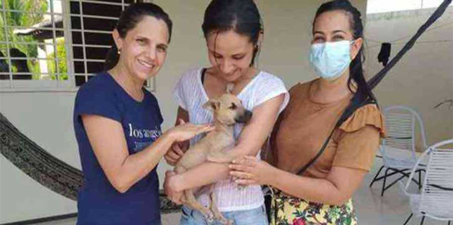Brasile, cane randagio prende il posto di Gesù nel presepe e trova casa