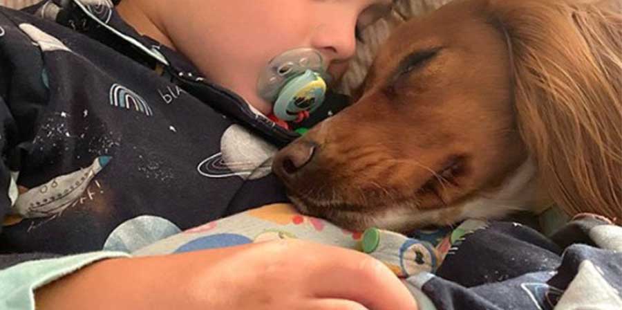 Leon e Fern, l'amore di un cane cambia la vita a un bimbo autistico