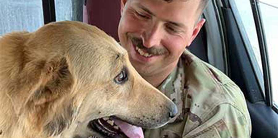 Soldato porta a casa con sé cane conosciuto in Iraq