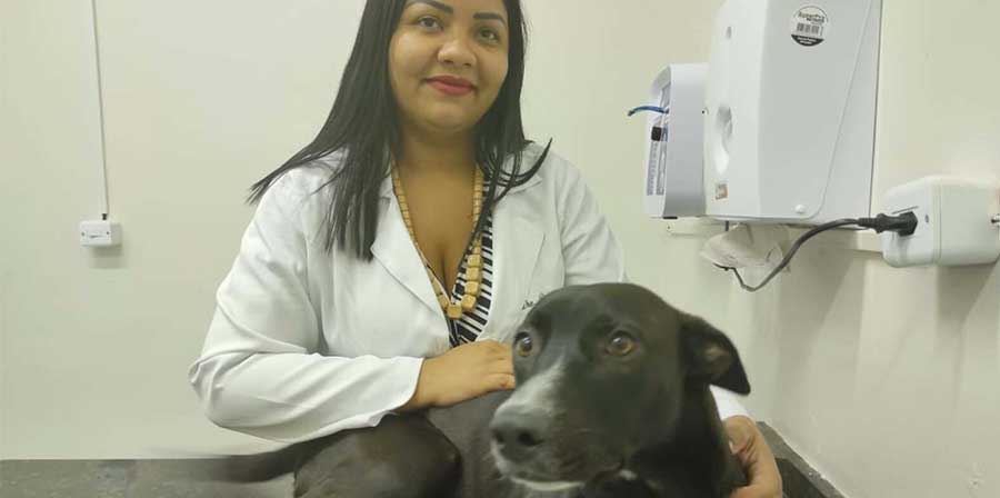 Randagio ferito entra dal veterinario e si fa curare