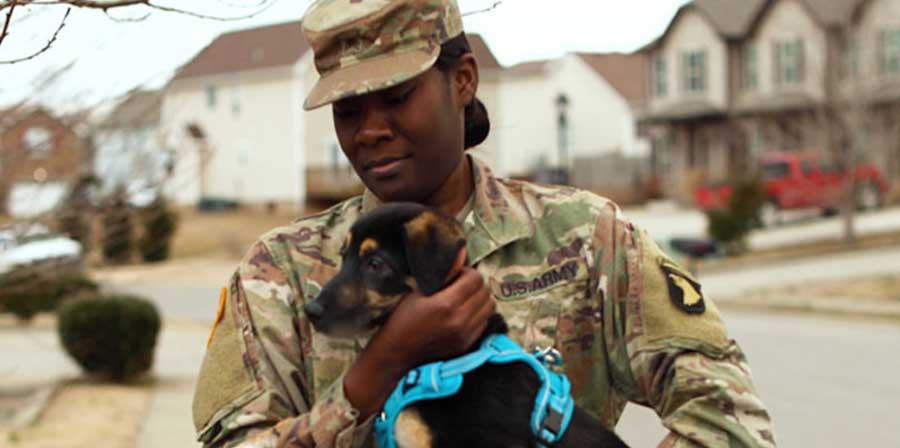 Storie a lieto fine: soldato si ricongiunge con cucciolo randagio conosciuto in servizio