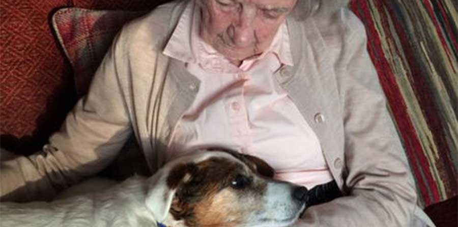 Donna di 96 anni adotta cane anziano rimasto senza proprietario