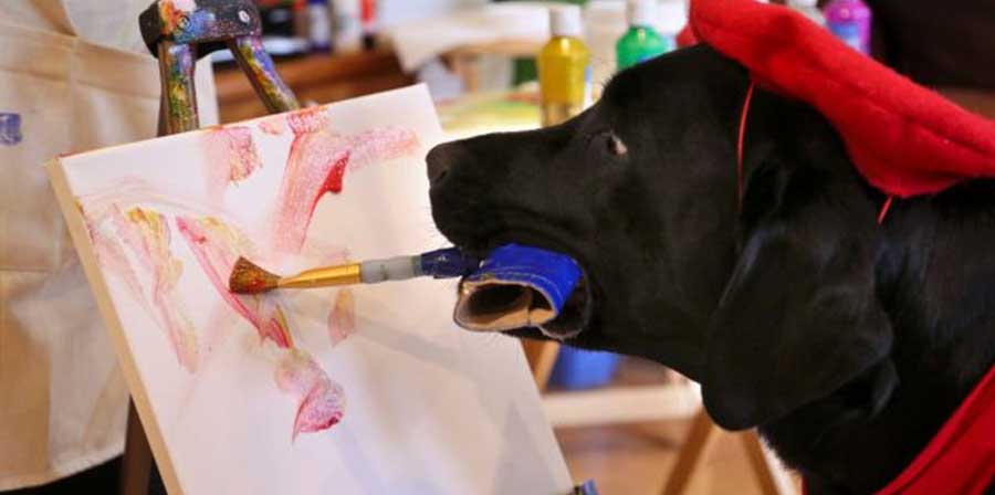 DogVinci, il cane pittore!
