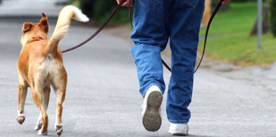 Passeggiare con il proprio cane fa bene alla salute