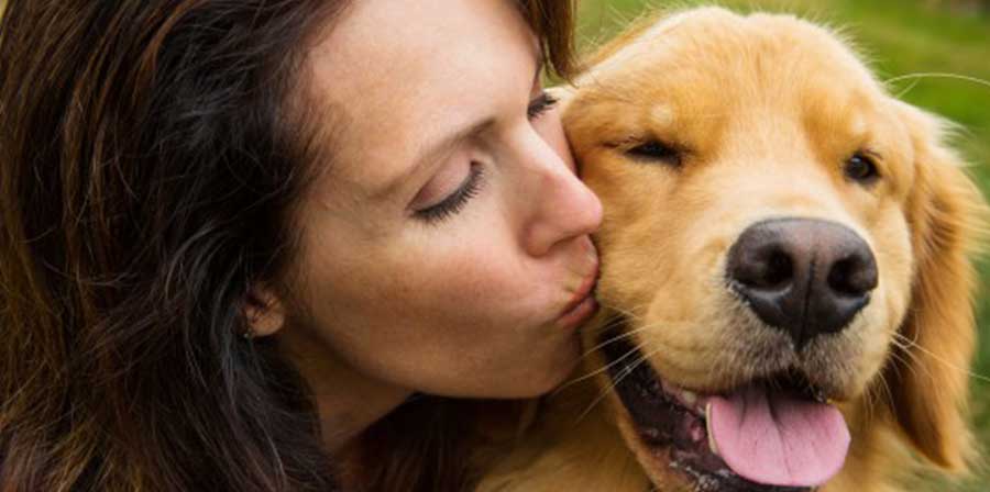 Meno ictus e infarti per le donne over 50 con un cane