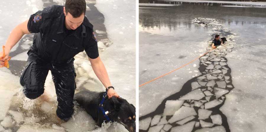 Poliziotto-eroe salva cane caduto in lago ghiacciato