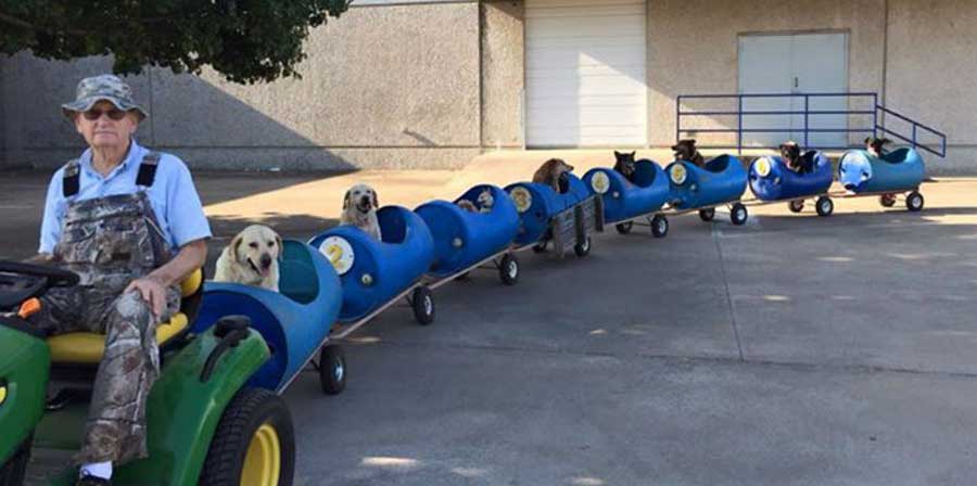 Cani salvati dalla strada a spasso su un trenino