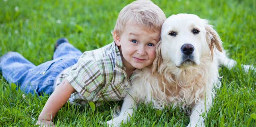 Lo studio: “I cani proteggono i nati da cesareo da asma e obesità”