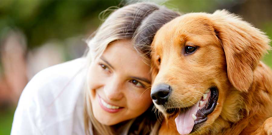 È grazie all’ossitocina se i cani socializzano più facilmente