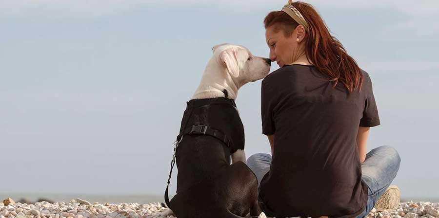 Lo studio: “Amiamo più i cani che le persone”