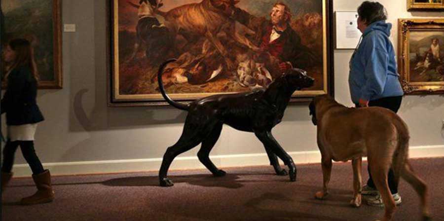 The AKC Museum of the Dog, a New York apre il museo sul cane