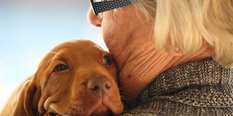 I cani fanno vivere in salute e a lungo, sempre più anziani ne possiede uno