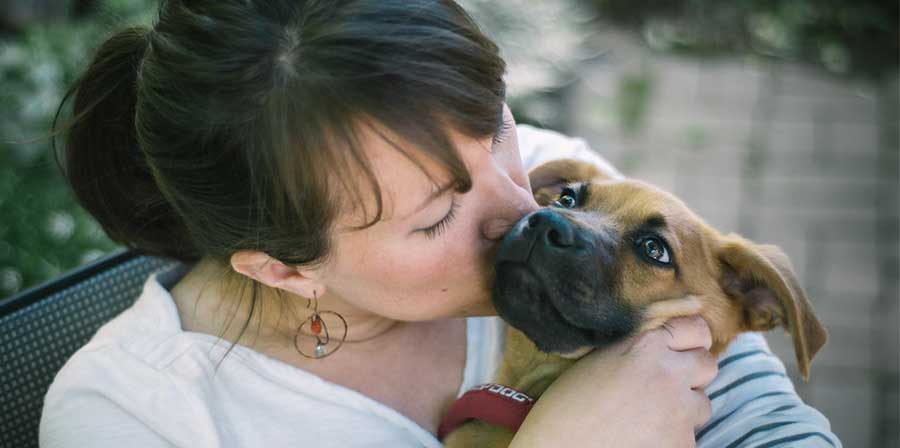 Si bacia più il proprio cane che il partner. Lo rivela un sondaggio