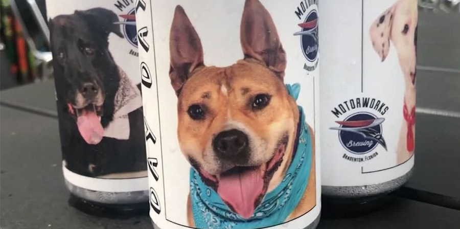 Smarrito da due anni, cane viene ritrovato grazie a una lattina di birra
