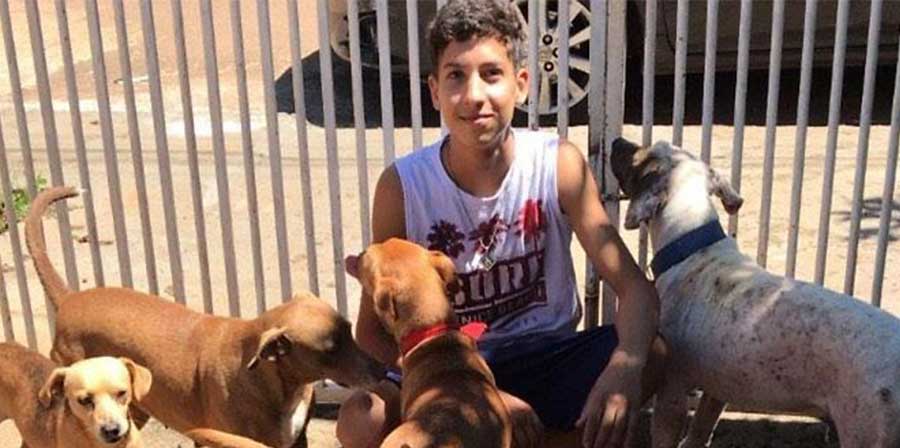 Un rifugio speciale per salvare cani e gatti: l'iniziativa di un ragazzo di 17 anni