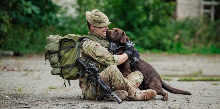 I cani militari “in pensione” possono rimanere con i loro conduttori