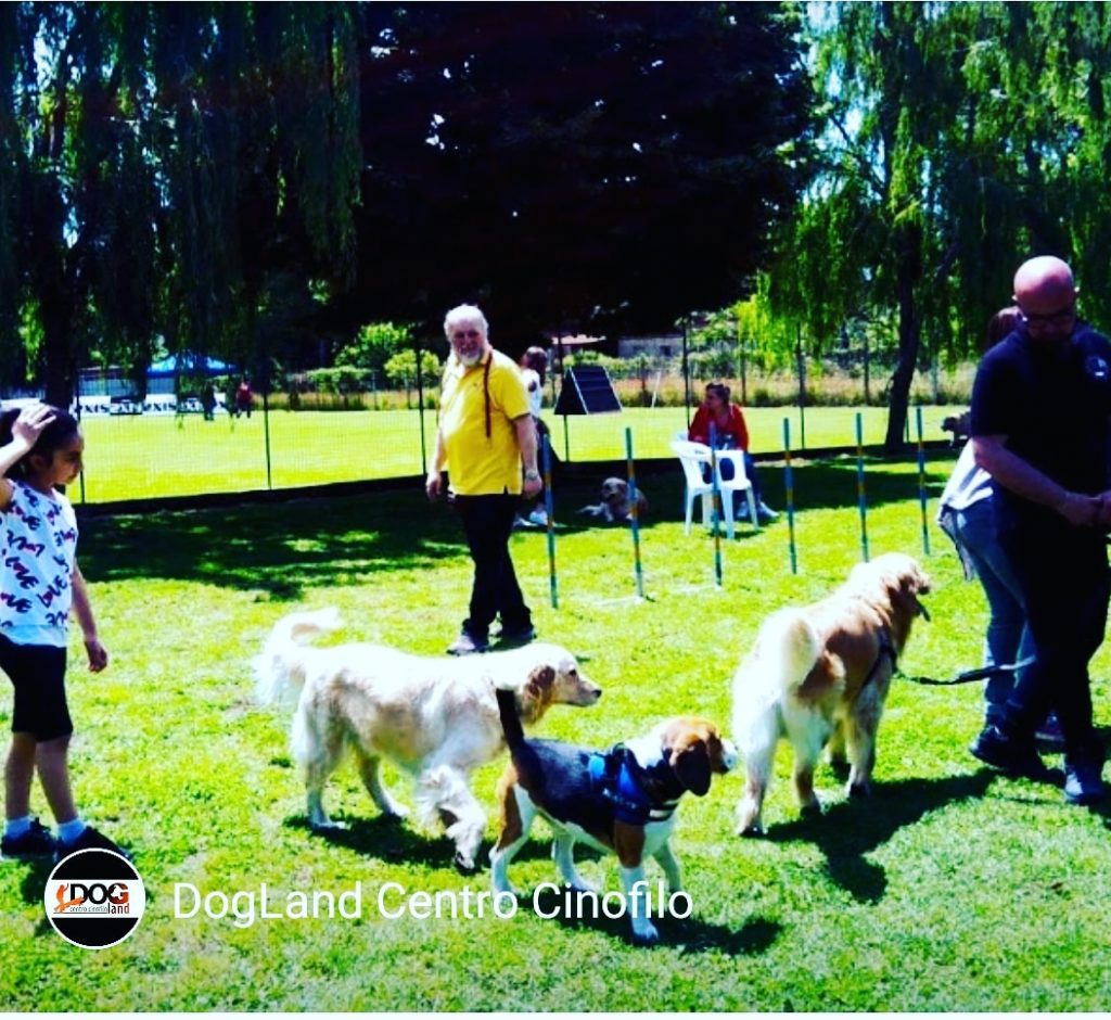 DogLand Centro Cinofilo