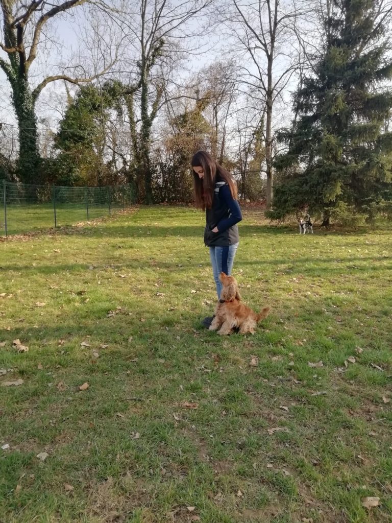 Chiara Dog Trainer • Educazione e addestramento cani a domicilio