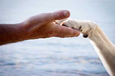 Rischia di annegare per salvare il proprio cane: lieto fine in Sardegna