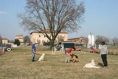 Imparare a vivere il cane: ciclo di incontri gratuiti a Bologna