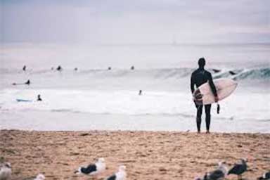 Cane nel mare in tempesta: due surfisti lo salvano