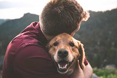 “I cani possono aiutare chi soffre di Sindrome post traumatica da stress”, lo rivela uno studio