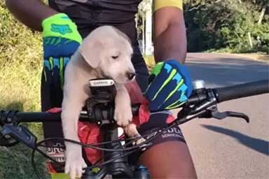 Ciclista trova cucciolo per strada e gli cambia la vita