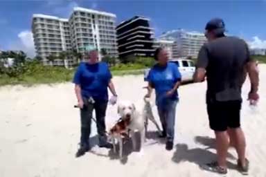 Tal e Molly, due cani da terapia per le famiglie coinvolte nel crollo di Miami