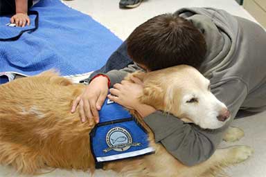 Pet therapy: la mia scuola di vita
