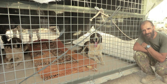 Bruno e Chiara, i due cani adottati dai soldati italiani trovano casa in Italia
