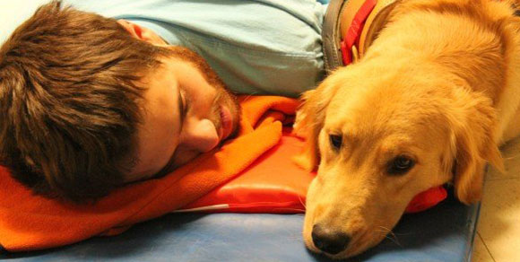 Zuzu, un cane per infermiere: prevede in anticipo le crisi epilettiche del padrone autistico