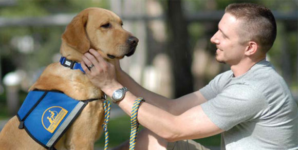 Cani per la pet therapy rimangono senza lavoro: ora rischiano il canile