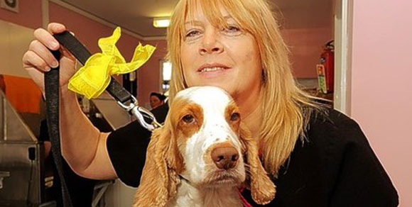 Un fiocco giallo per mantenere le distanze: ecco “The Yellow Dog Project”