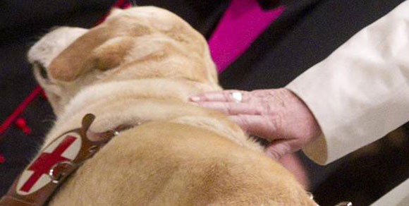 Papa Francesco I: gli animalisti confidano nel suo nome