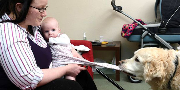 Orca, il cane baby-sitter che aiuta la padrona disabile a prendersi cura della figlia