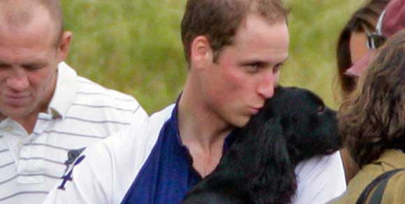 Il principe William lascia le forze armate e…i suoi cani da guardia vengono abbattuti! Polemiche