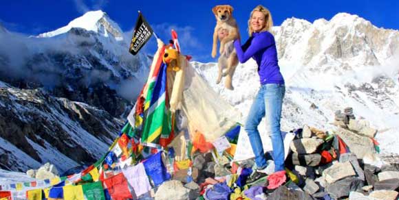 Dalla discarica al tetto del mondo: Rupee, il primo cane ad aver scalato l’Everest