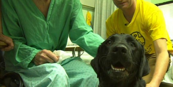 Animali domestici in visita negli ospedali dell’Emilia Romagna: la commissione approva