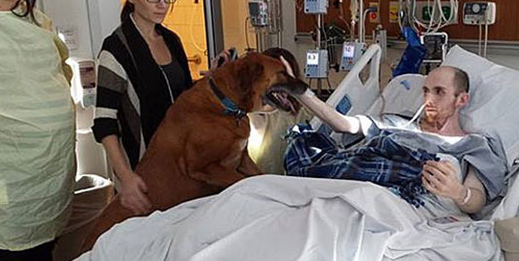 Lo straziante addio tra un malato terminale di cancro e il suo cane Rusty