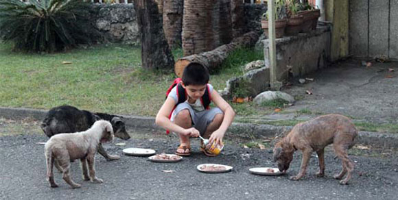 Dopo la scuola va a sfamare i cani randagi: la storia di un piccolo angelo