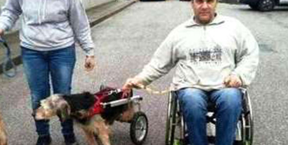 Addio Gabriele, cane con carrellino adottato da un disabile